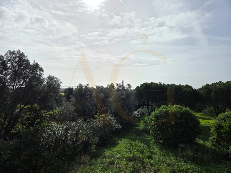 Moradia T5 para Venda em Moncarapacho e Fuseta Foto 36