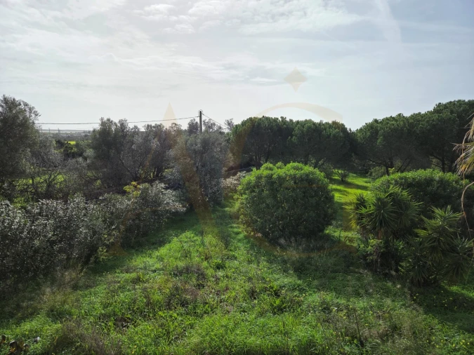 Moradia T5 para Venda em Moncarapacho e Fuseta Foto 40