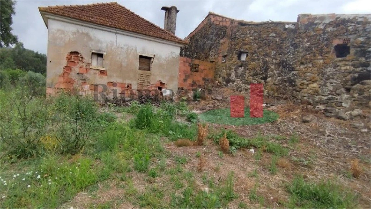 Moradia T2 para Venda em Alcobertas Foto 6