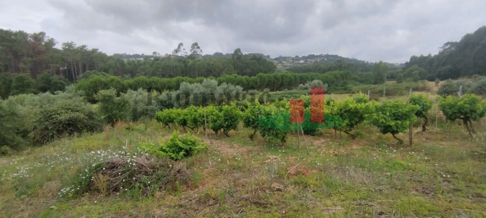 Moradia T2 para Venda em Alcobertas Foto 8