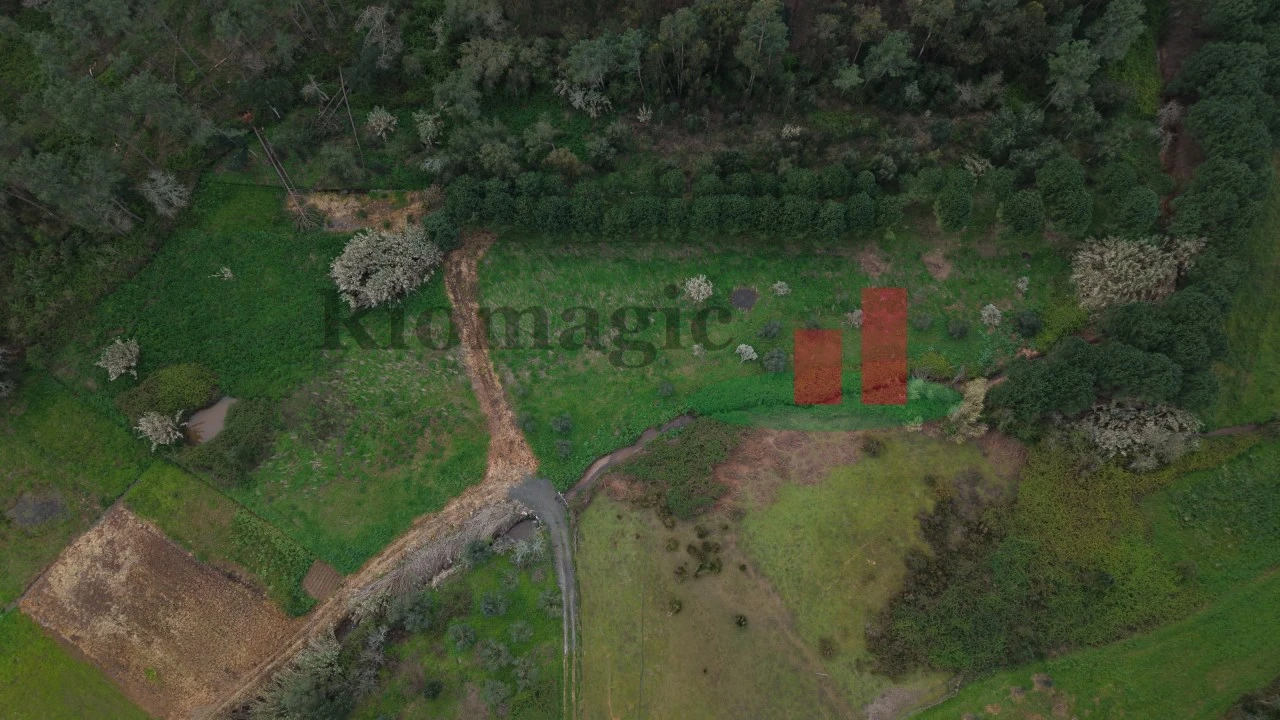 Moradia T2 para Venda em Alcobertas Foto 13