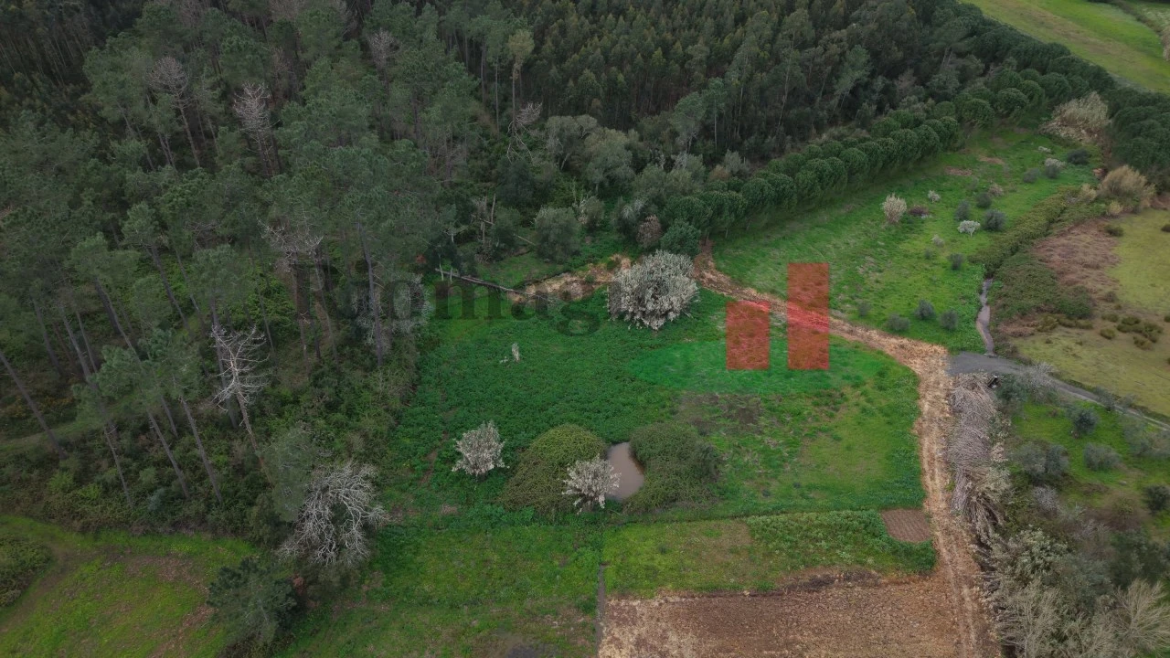 Moradia T2 para Venda em Alcobertas Foto 18