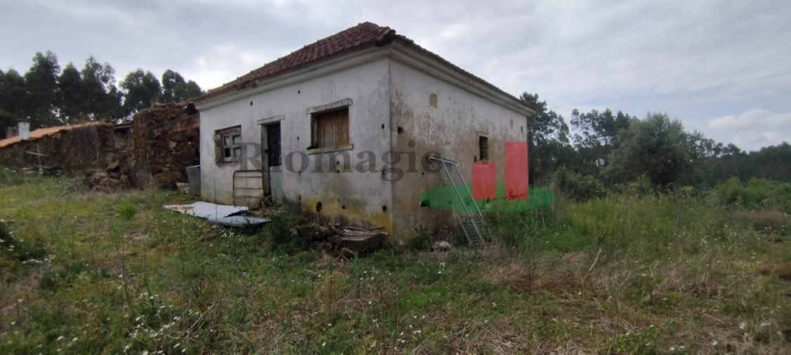 Moradia T2 para Venda em Alcobertas Foto 3