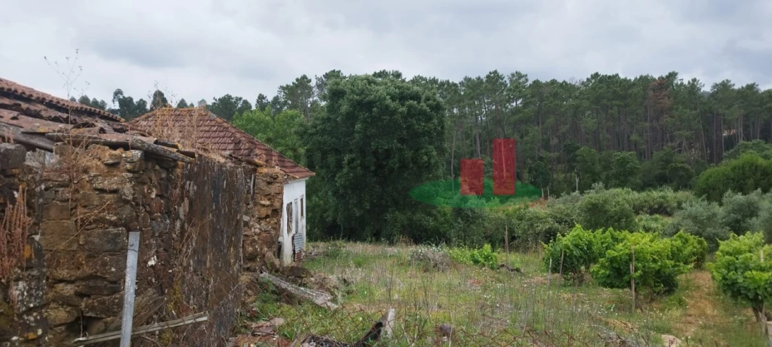 Moradia T2 para Venda em Alcobertas Foto 4