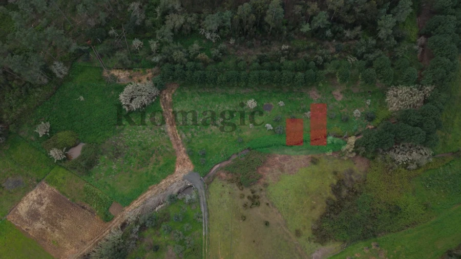 Moradia T2 para Venda em Alcobertas Foto 13