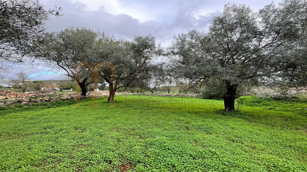Quinta para Venda em Moncarapacho e Fuseta Foto 14