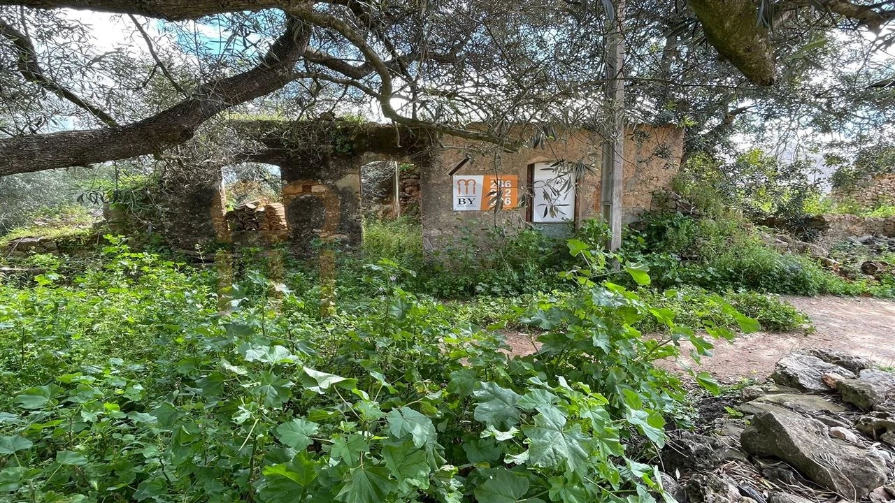 Quinta para Venda em Moncarapacho e Fuseta Foto 2