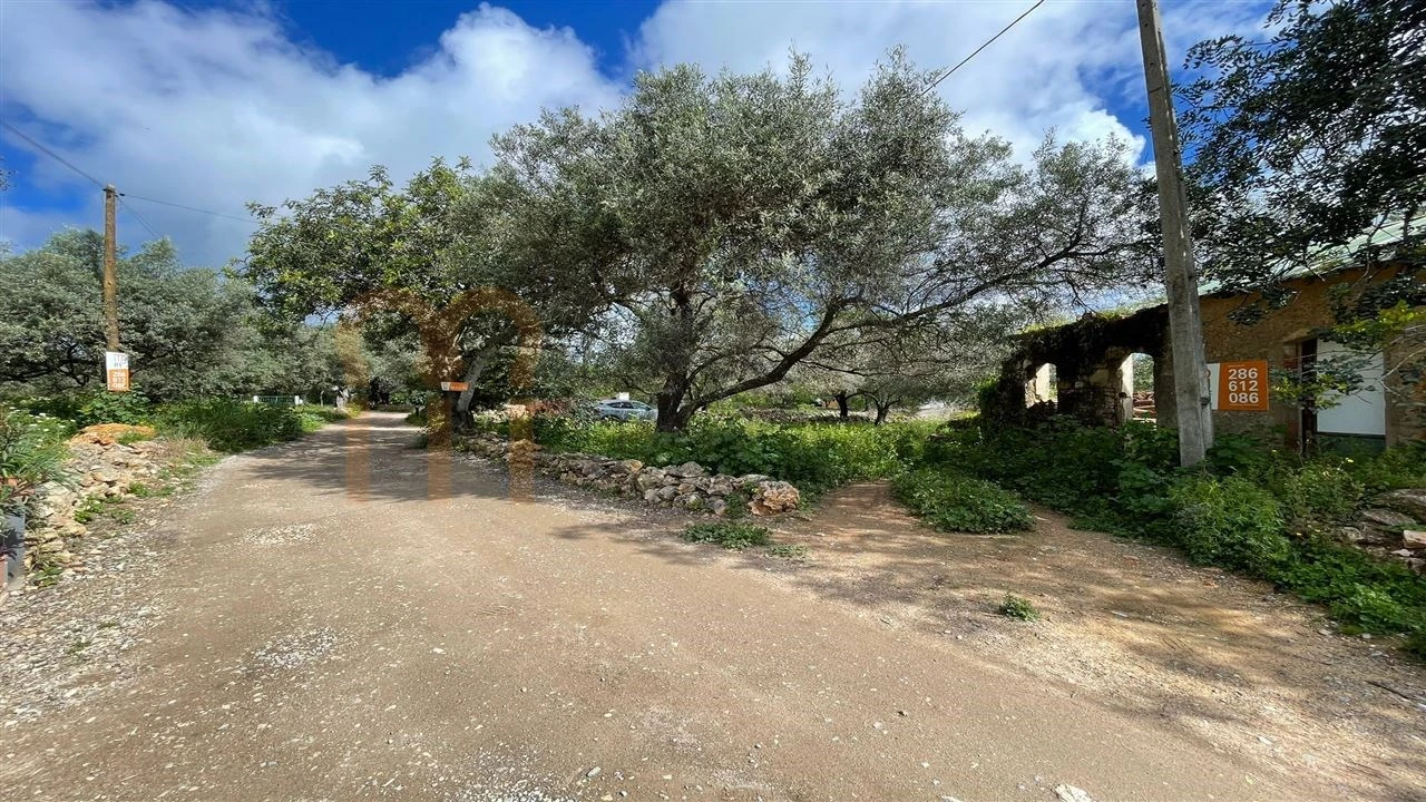 Quinta para Venda em Moncarapacho e Fuseta Foto 3