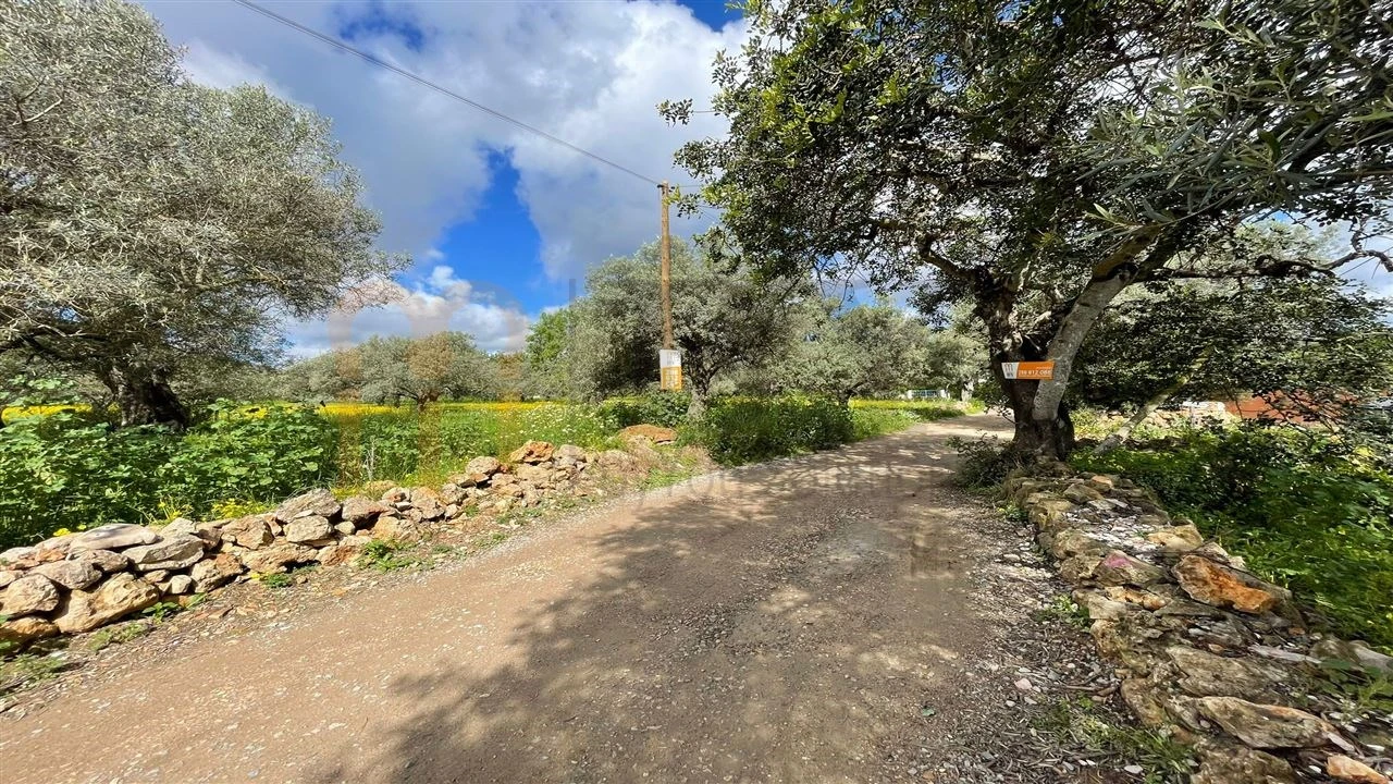 Quinta para Venda em Moncarapacho e Fuseta Foto 4