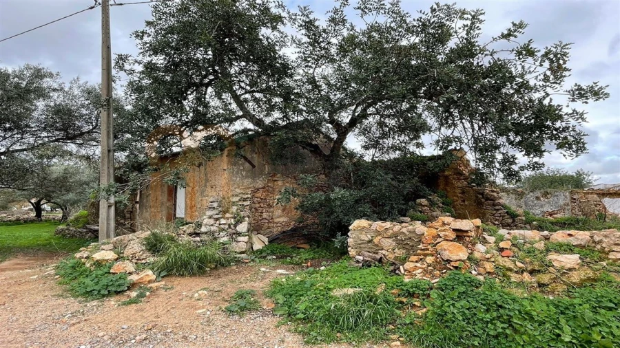 Quinta para Venda em Moncarapacho e Fuseta Foto 5