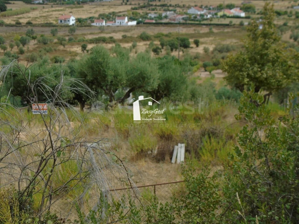 Terreno para Venda em Abrantes (São Vicente e São João) e Alferrarede Foto 4
