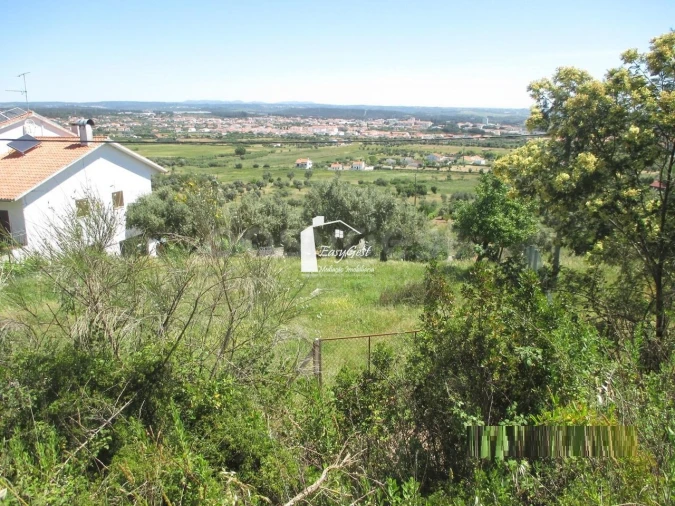 Terreno para Venda em Abrantes (São Vicente e São João) e Alferrarede Foto 7