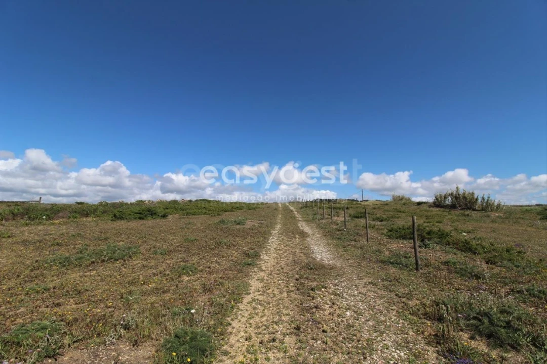 Moradia T4 para Venda em São João das Lampas e Terrugem Foto 3