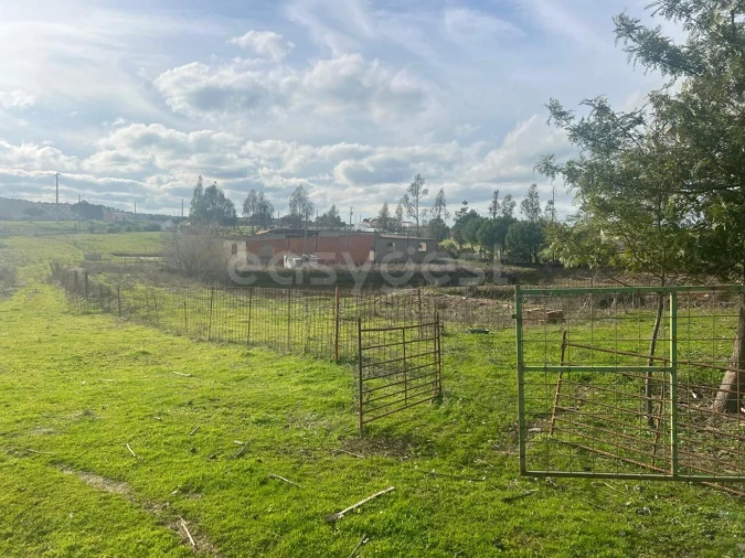 Terreno para Venda em Vila Verde de Ficalho Foto 4