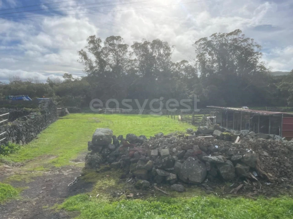 Terreno para Venda em São Bras Foto 1