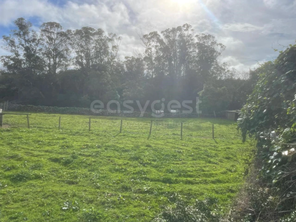 Terreno para Venda em São Bras Foto 5
