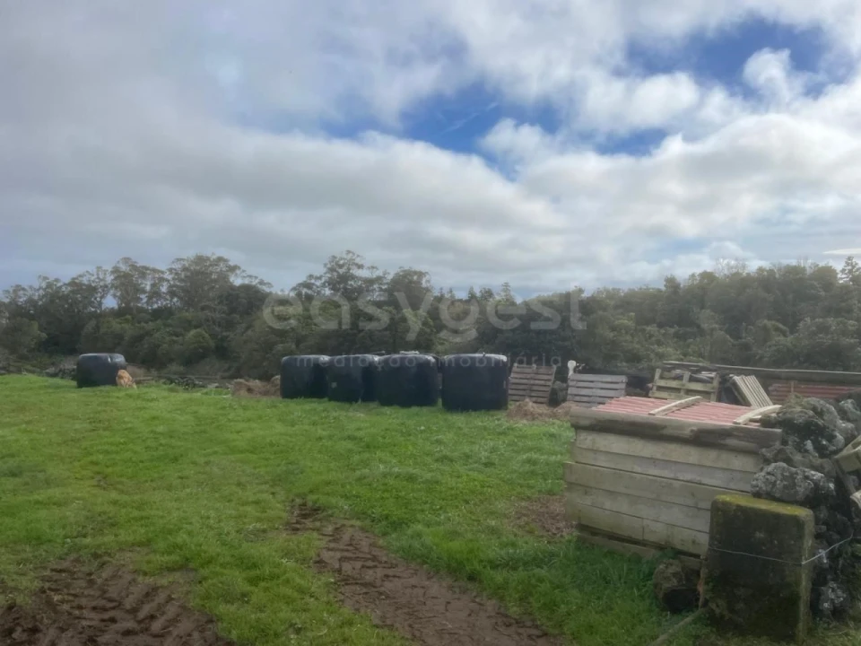 Terreno para Venda em São Bras Foto 8