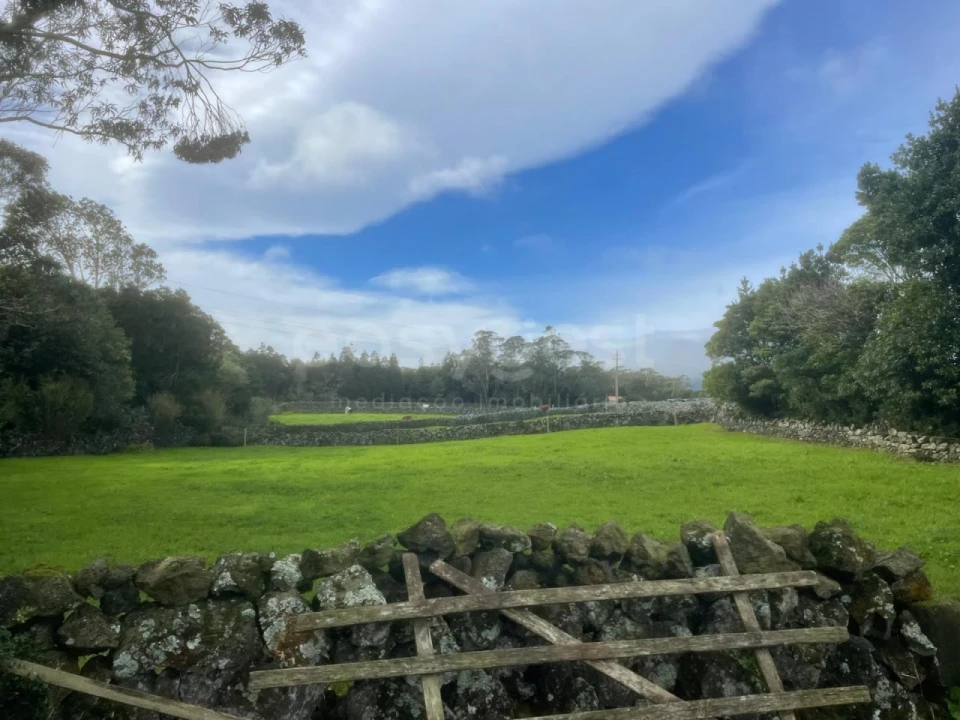 Terreno para Venda em São Bras Foto 18