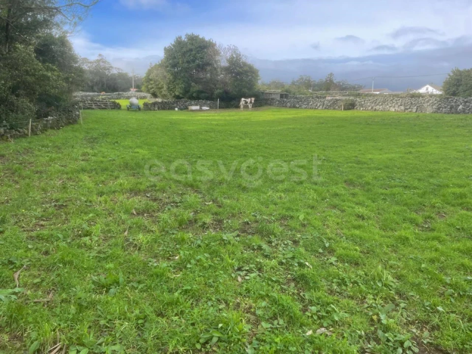 Terreno para Venda em São Bras Foto 19