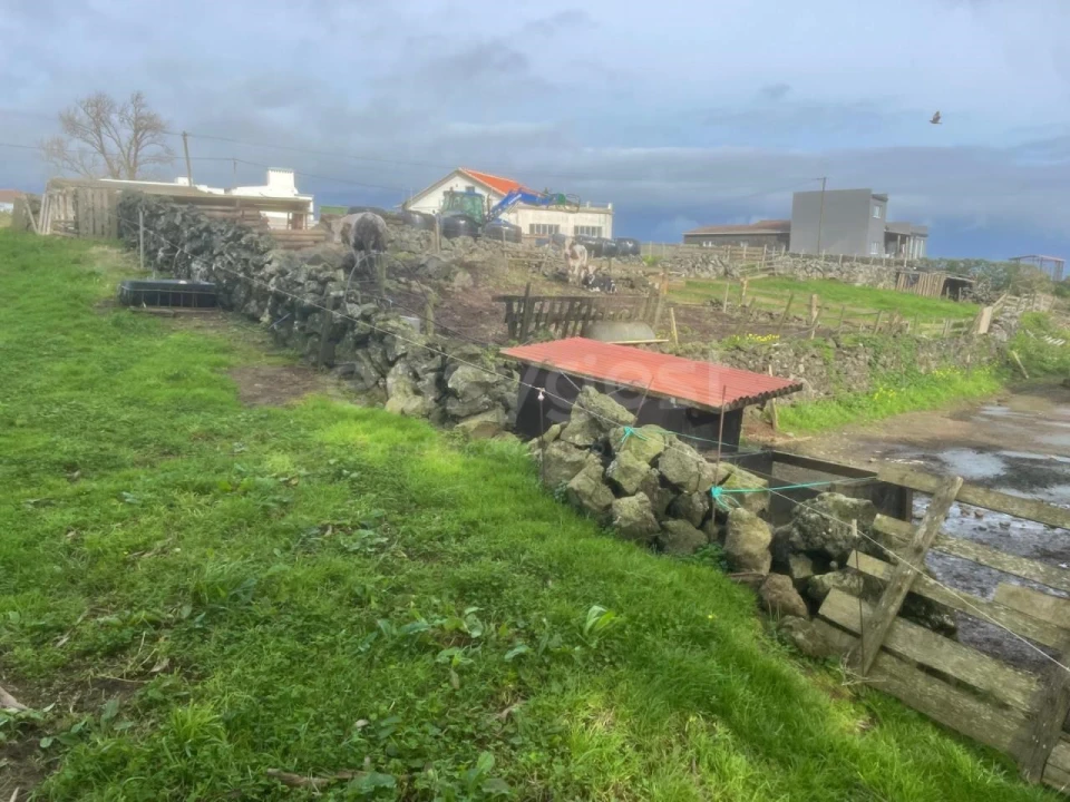 Terreno para Venda em São Bras Foto 20