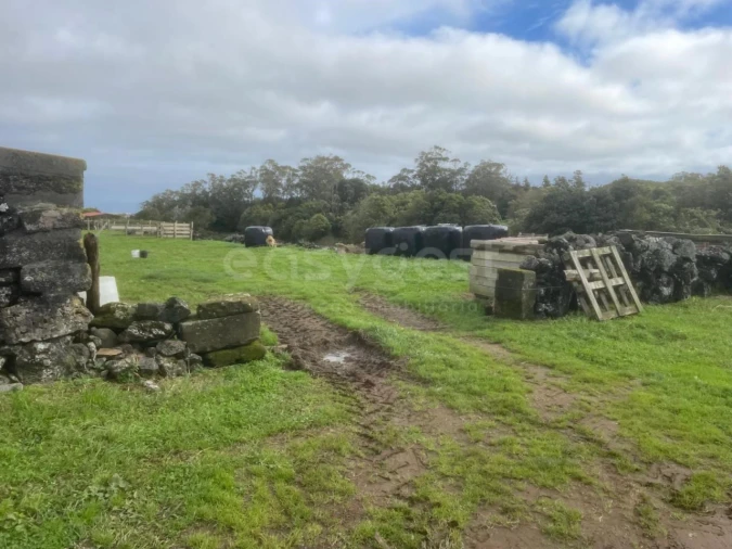 Terreno para Venda em São Bras Foto 7