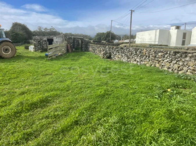 Terreno para Venda em São Bras Foto 13