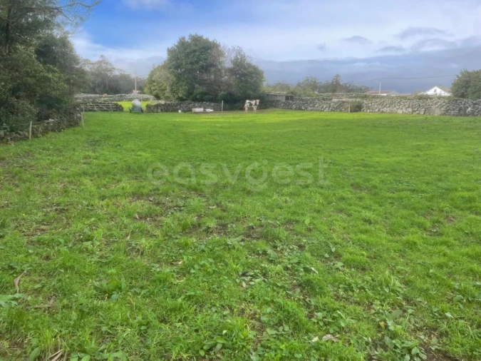 Terreno para Venda em São Bras Foto 19