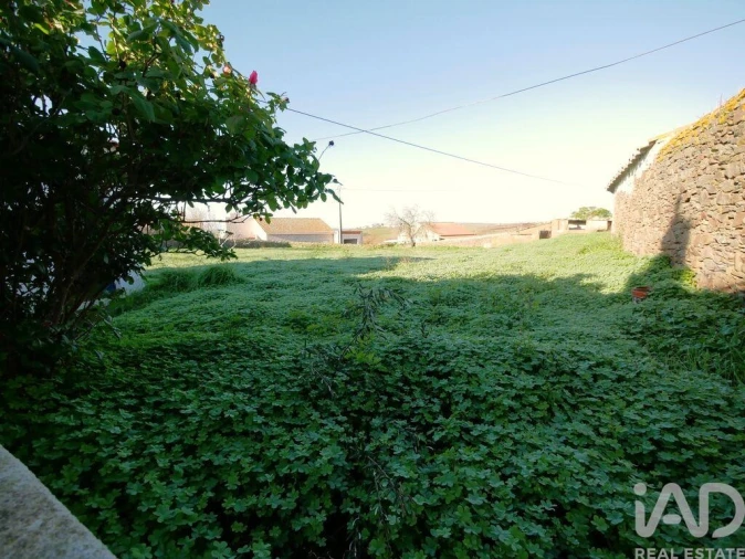Moradia T3 para Venda em São Miguel do Pinheiro, São Pedro de Solis, São Sebastião dos Carros Foto 24