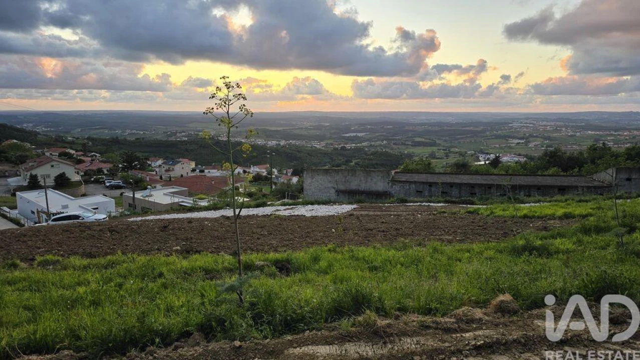 Terreno para Venda em Lamas e Cercal Foto 14