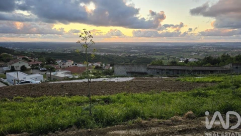 Terreno para Venda em Lamas e Cercal