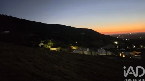 Terreno para Venda em Lamas e Cercal