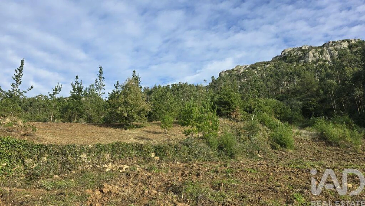 Terreno para Venda em Lamas e Cercal Foto 4