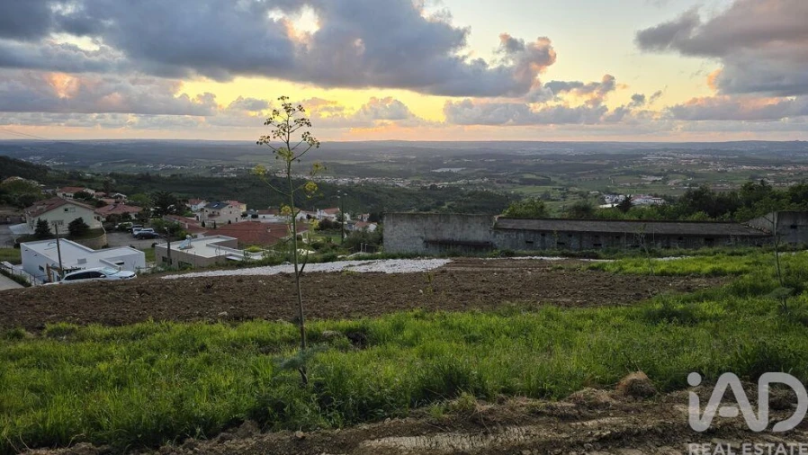 Terreno para Venda em Lamas e Cercal Foto 14
