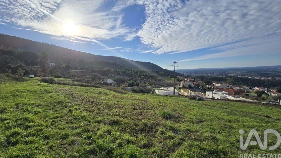 Terreno para Venda em Lamas e Cercal Foto 9