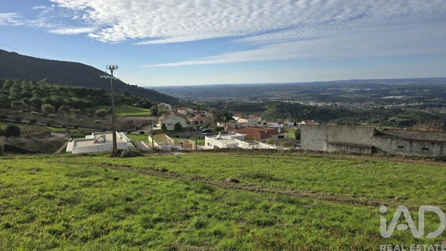 Terreno para Venda em Lamas e Cercal Foto 12