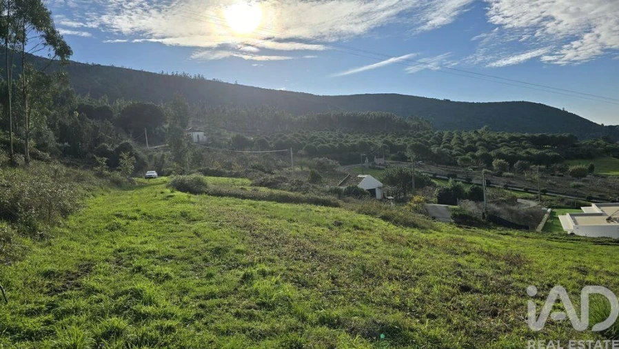 Terreno para Venda em Lamas e Cercal Foto 2