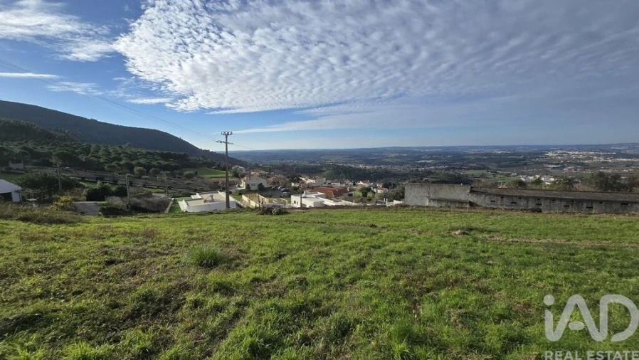 Terreno para Venda em Lamas e Cercal Foto 8
