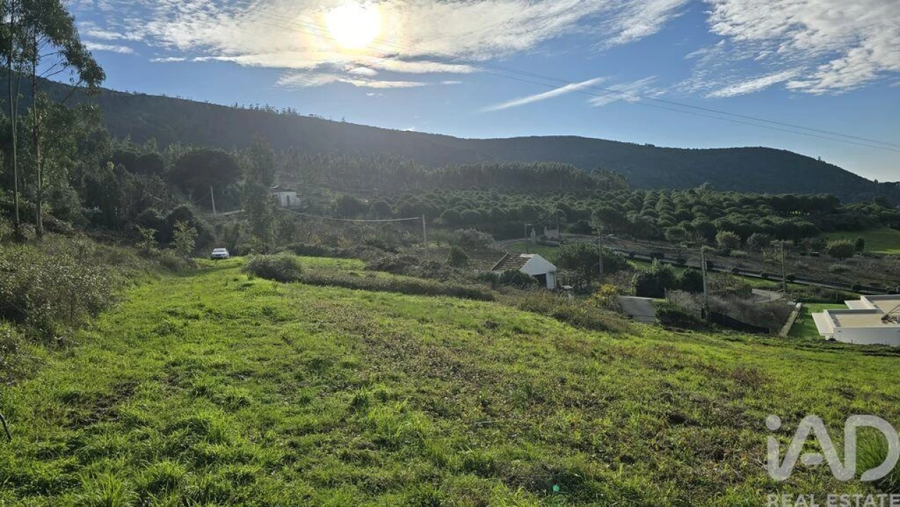 Terreno para Venda em Lamas e Cercal Foto 2