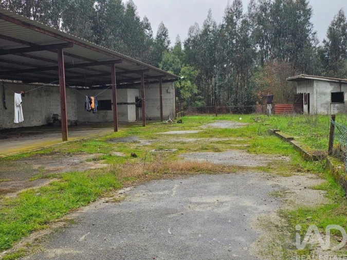 Quinta para Venda em Tondela e Nandufe Foto 10