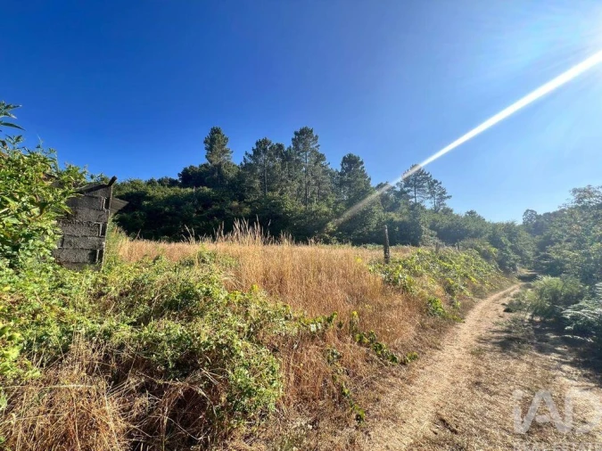 Quinta T2 para Venda em Freixo de Cima e de Baixo Foto 4