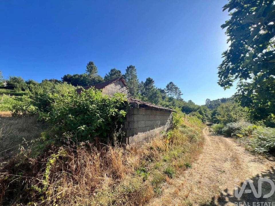 Quinta T2 para Venda em Freixo de Cima e de Baixo Foto 3