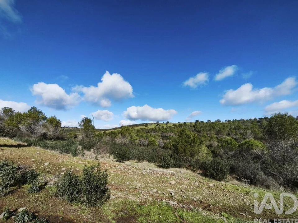 Terreno para Venda em São Miguel do Pinheiro, São Pedro de Solis, São Sebastião dos Carros Foto 27