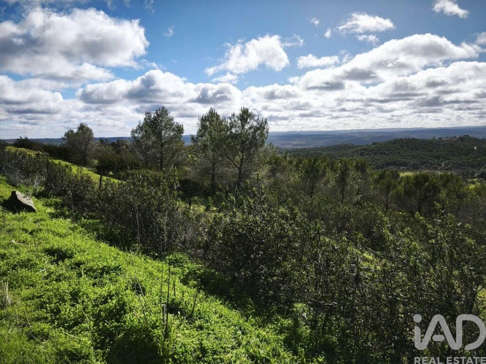 Terreno para Venda em São Miguel do Pinheiro, São Pedro de Solis, São Sebastião dos Carros Foto 2