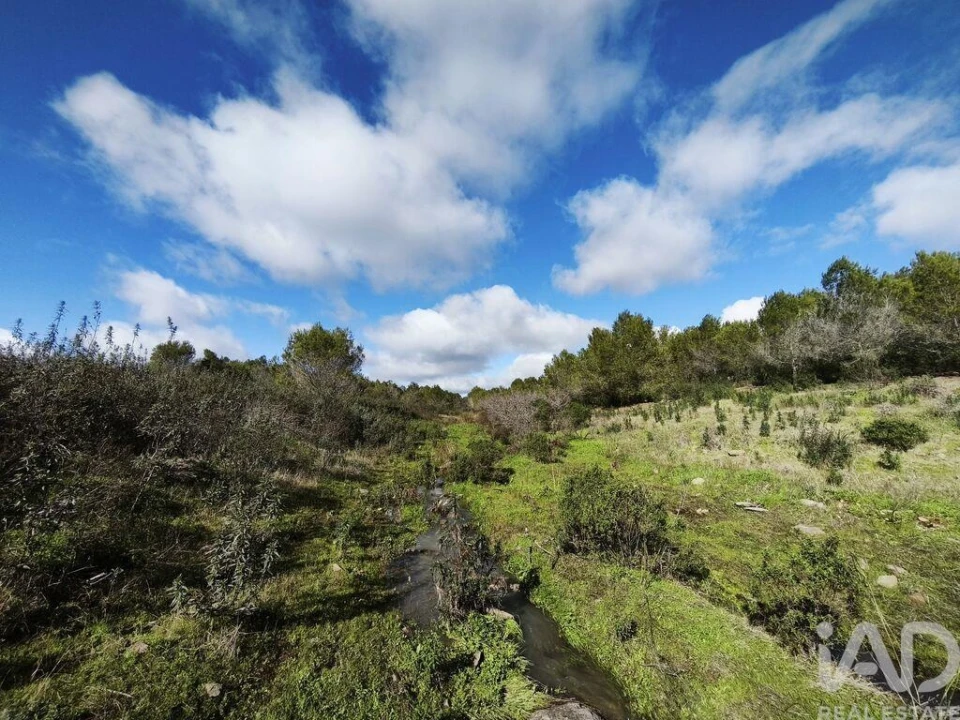 Terreno para Venda em São Miguel do Pinheiro, São Pedro de Solis, São Sebastião dos Carros Foto 12