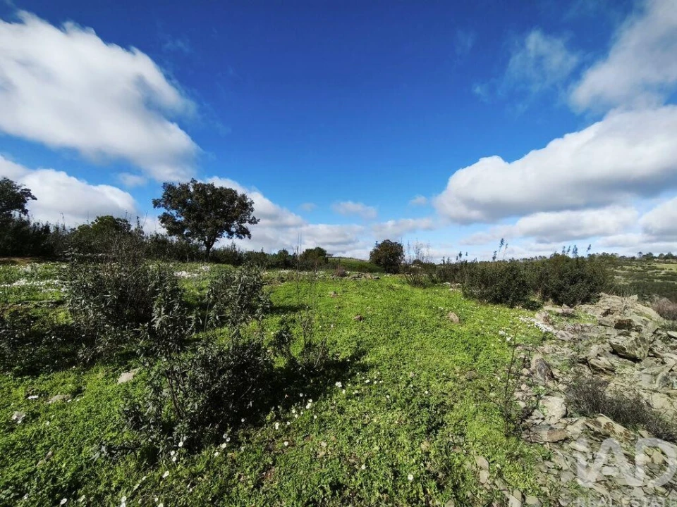 Terreno para Venda em São Miguel do Pinheiro, São Pedro de Solis, São Sebastião dos Carros Foto 8