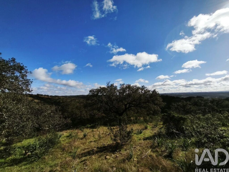 Terreno para Venda em São Miguel do Pinheiro, São Pedro de Solis, São Sebastião dos Carros Foto 24