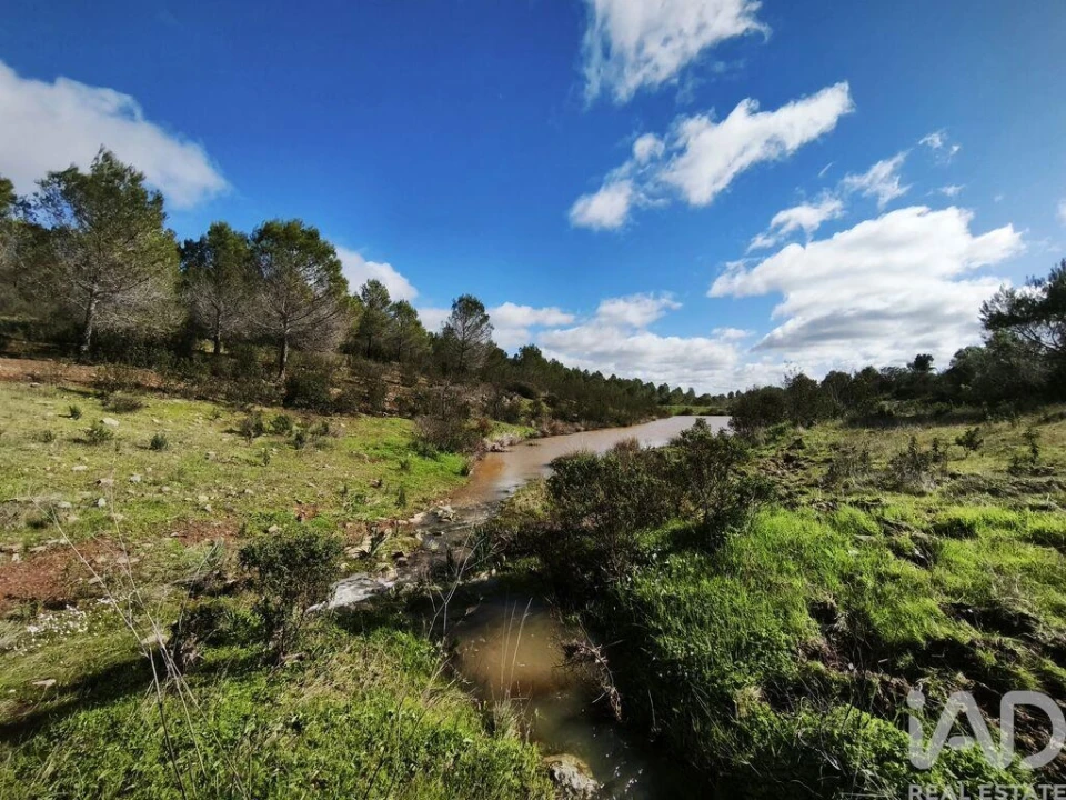 Terreno para Venda em São Miguel do Pinheiro, São Pedro de Solis, São Sebastião dos Carros Foto 16