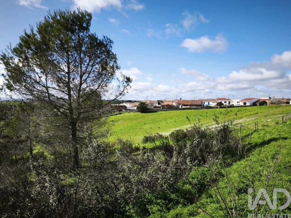 Terreno para Venda em São Miguel do Pinheiro, São Pedro de Solis, São Sebastião dos Carros Foto 3