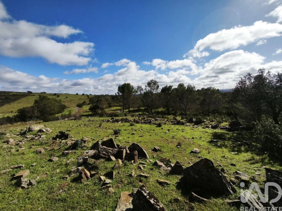 Terreno para Venda em São Miguel do Pinheiro, São Pedro de Solis, São Sebastião dos Carros Foto 5