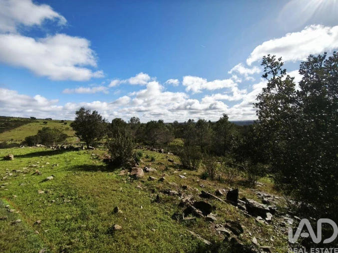 Terreno para Venda em São Miguel do Pinheiro, São Pedro de Solis, São Sebastião dos Carros Foto 7